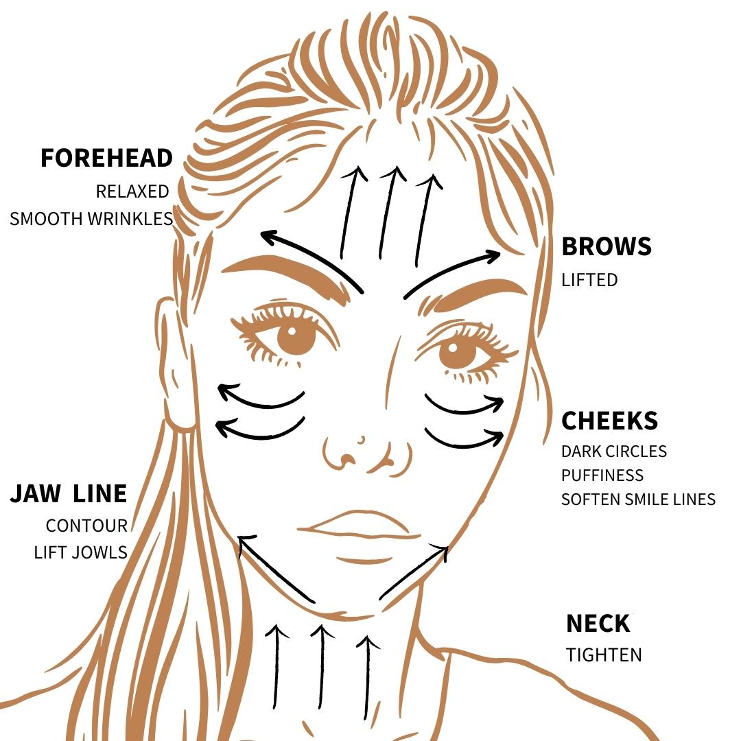 Gua Sha Facial Chart And Gua Sha Facial Step By Step How To Acurea Usa
